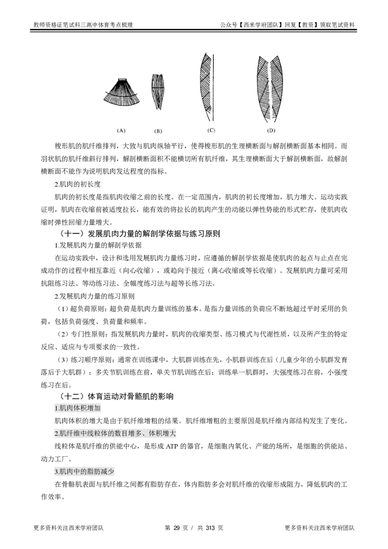 高中体育-考点梳理1_教资_25下资料合集二_25下最新科三知识点汇编+思维导图-高中_07.体育_04.考点梳理