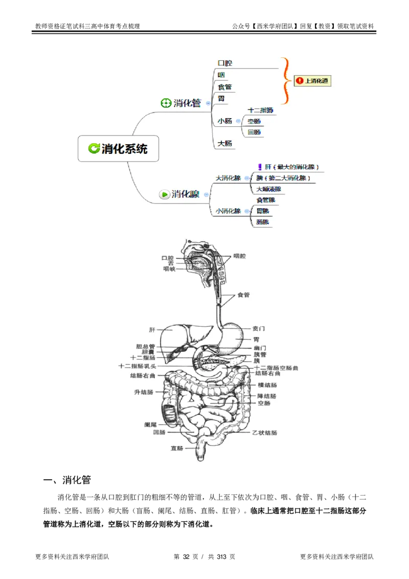 高中体育-考点梳理1_教资_25下资料合集二_25下最新科三知识点汇编+思维导图-高中_07.体育_04.考点梳理