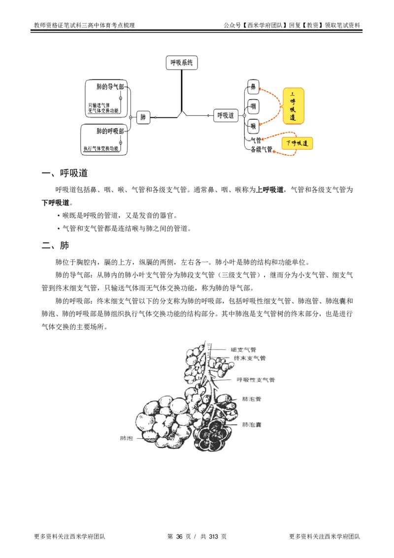 高中体育-考点梳理1_教资_25下资料合集二_25下最新科三知识点汇编+思维导图-高中_07.体育_04.考点梳理