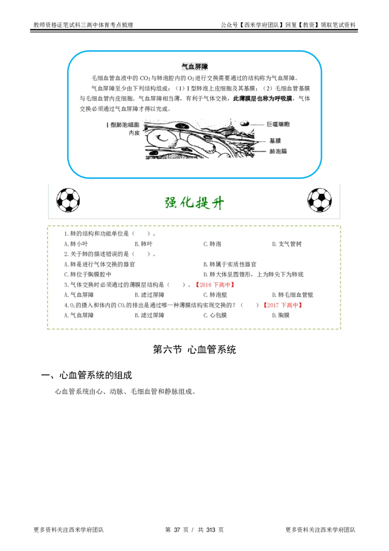 高中体育-考点梳理1_教资_25下资料合集二_25下最新科三知识点汇编+思维导图-高中_07.体育_04.考点梳理