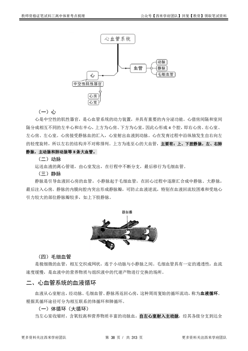 高中体育-考点梳理1_教资_25下资料合集二_25下最新科三知识点汇编+思维导图-高中_07.体育_04.考点梳理