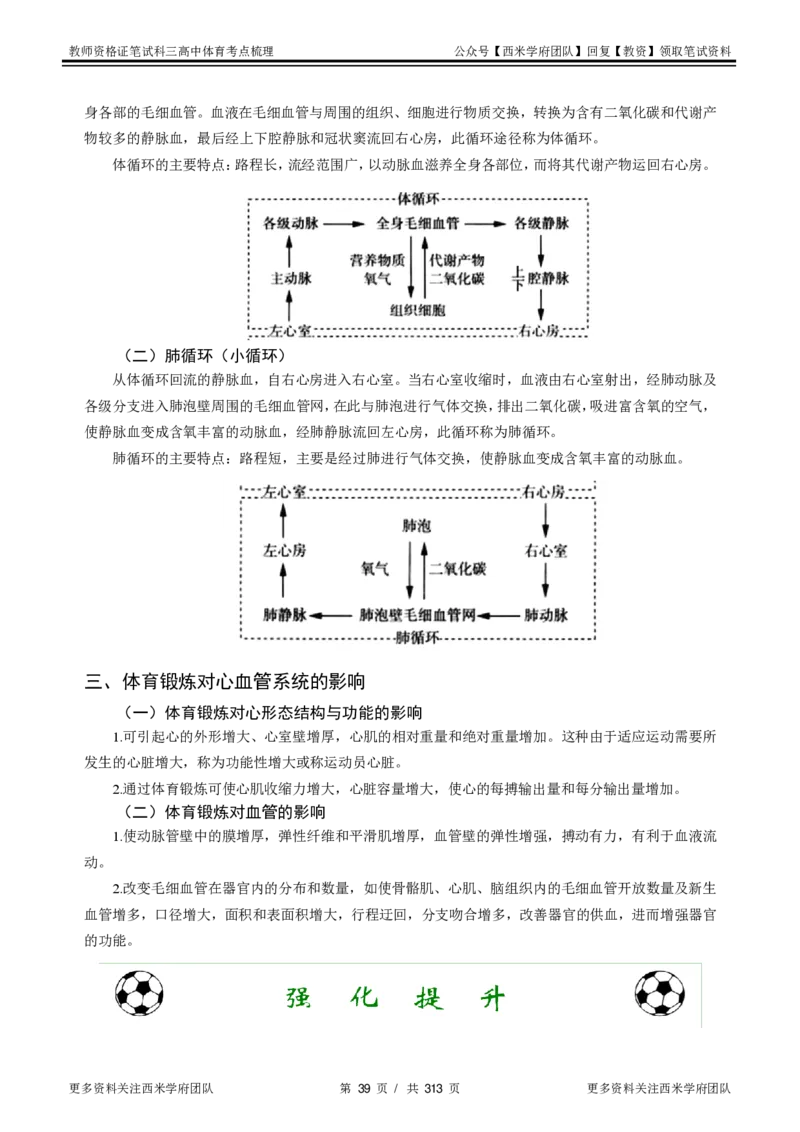 高中体育-考点梳理1_教资_25下资料合集二_25下最新科三知识点汇编+思维导图-高中_07.体育_04.考点梳理