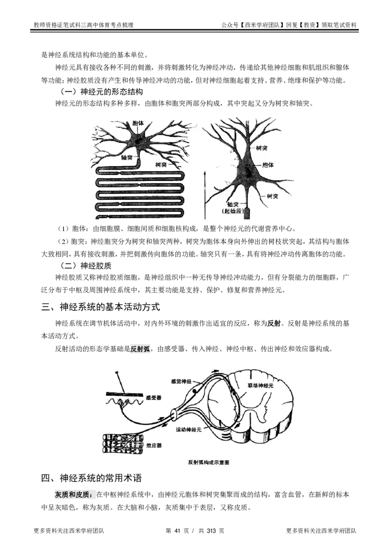 高中体育-考点梳理1_教资_25下资料合集二_25下最新科三知识点汇编+思维导图-高中_07.体育_04.考点梳理