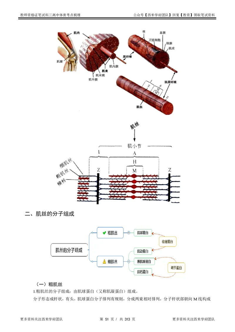 高中体育-考点梳理1_教资_25下资料合集二_25下最新科三知识点汇编+思维导图-高中_07.体育_04.考点梳理