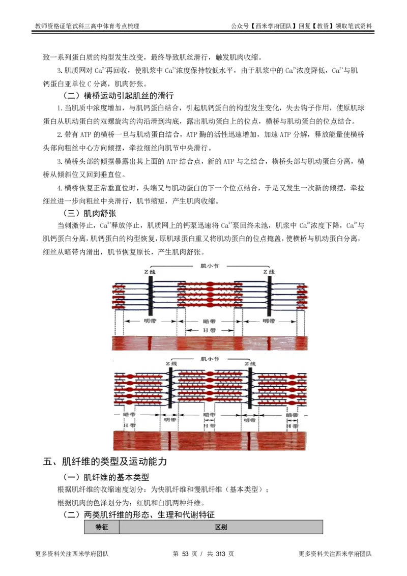 高中体育-考点梳理1_教资_25下资料合集二_25下最新科三知识点汇编+思维导图-高中_07.体育_04.考点梳理