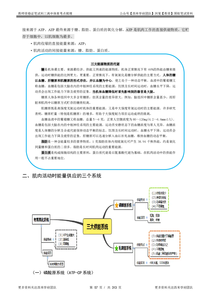 高中体育-考点梳理1_教资_25下资料合集二_25下最新科三知识点汇编+思维导图-高中_07.体育_04.考点梳理