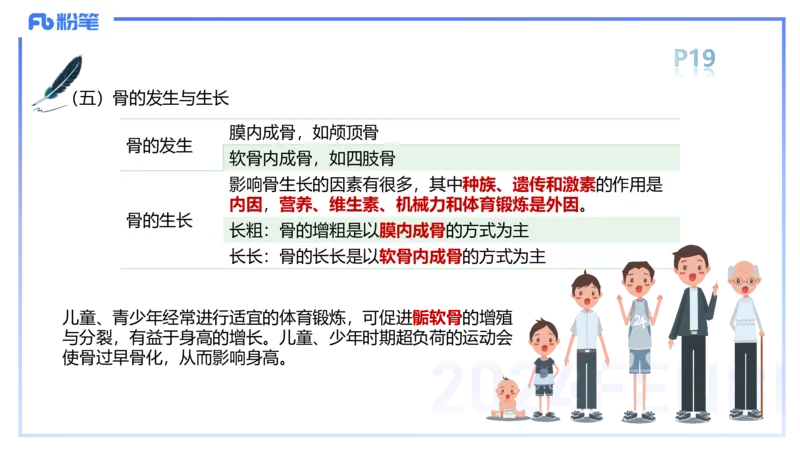 1.16-理论精讲-运动解剖学2-王传世+_4-教培资料-26年最新资料-同步更新_科一科二电子资料合集中小幼（笔记真题知识点汇总等）文件多，按需保存_各机构笔记合集（中小幼）推荐