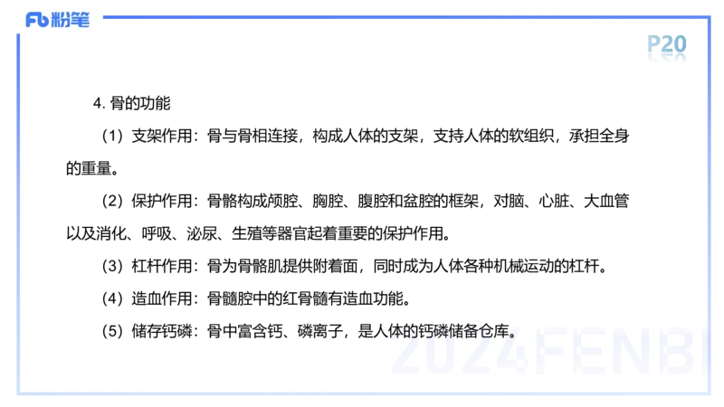 1.16-理论精讲-运动解剖学2-王传世+_4-教培资料-26年最新资料-同步更新_科一科二电子资料合集中小幼（笔记真题知识点汇总等）文件多，按需保存_各机构笔记合集（中小幼）推荐