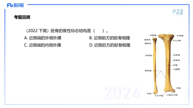 1.16-理论精讲-运动解剖学2-王传世+_4-教培资料-26年最新资料-同步更新_科一科二电子资料合集中小幼（笔记真题知识点汇总等）文件多，按需保存_各机构笔记合集（中小幼）推荐