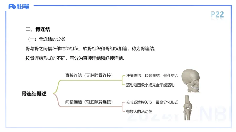 1.16-理论精讲-运动解剖学2-王传世+_4-教培资料-26年最新资料-同步更新_科一科二电子资料合集中小幼（笔记真题知识点汇总等）文件多，按需保存_各机构笔记合集（中小幼）推荐