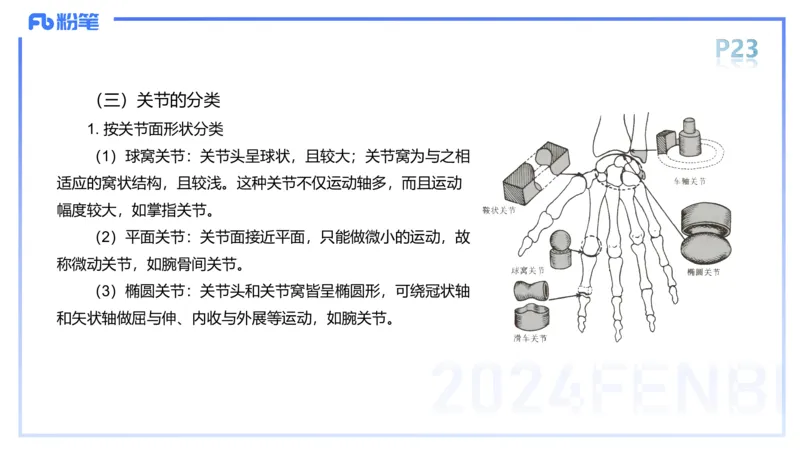 1.16-理论精讲-运动解剖学2-王传世+_4-教培资料-26年最新资料-同步更新_科一科二电子资料合集中小幼（笔记真题知识点汇总等）文件多，按需保存_各机构笔记合集（中小幼）推荐