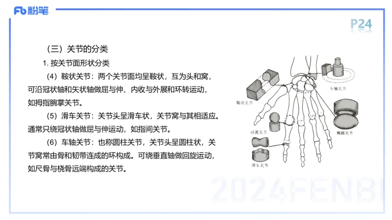1.16-理论精讲-运动解剖学2-王传世+_4-教培资料-26年最新资料-同步更新_科一科二电子资料合集中小幼（笔记真题知识点汇总等）文件多，按需保存_各机构笔记合集（中小幼）推荐
