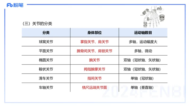 1.16-理论精讲-运动解剖学2-王传世+_4-教培资料-26年最新资料-同步更新_科一科二电子资料合集中小幼（笔记真题知识点汇总等）文件多，按需保存_各机构笔记合集（中小幼）推荐