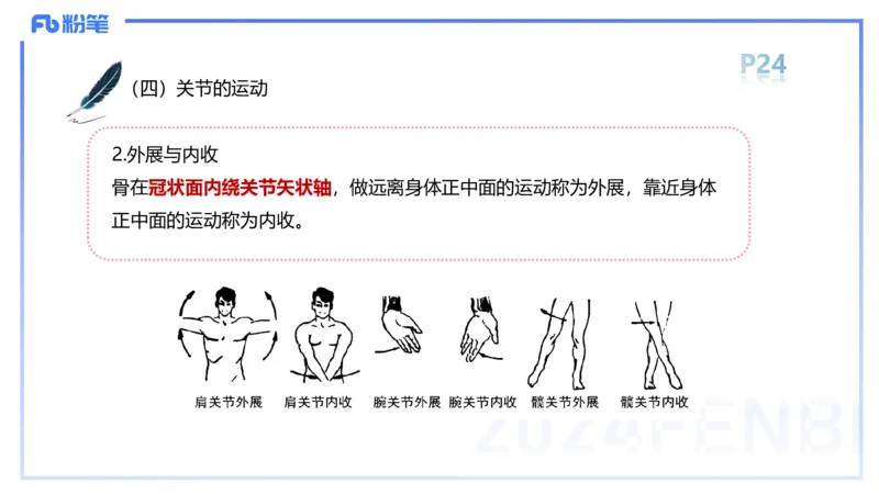 1.16-理论精讲-运动解剖学2-王传世+_4-教培资料-26年最新资料-同步更新_科一科二电子资料合集中小幼（笔记真题知识点汇总等）文件多，按需保存_各机构笔记合集（中小幼）推荐