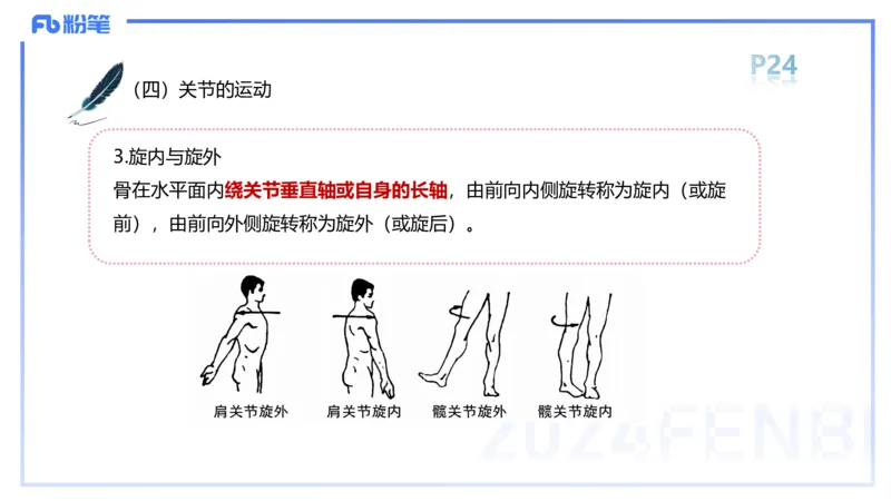1.16-理论精讲-运动解剖学2-王传世+_4-教培资料-26年最新资料-同步更新_科一科二电子资料合集中小幼（笔记真题知识点汇总等）文件多，按需保存_各机构笔记合集（中小幼）推荐