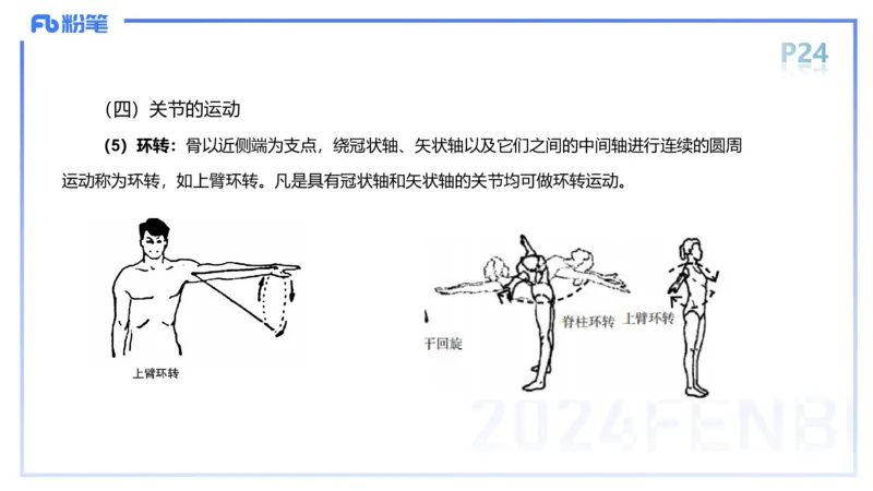1.16-理论精讲-运动解剖学2-王传世+_4-教培资料-26年最新资料-同步更新_科一科二电子资料合集中小幼（笔记真题知识点汇总等）文件多，按需保存_各机构笔记合集（中小幼）推荐