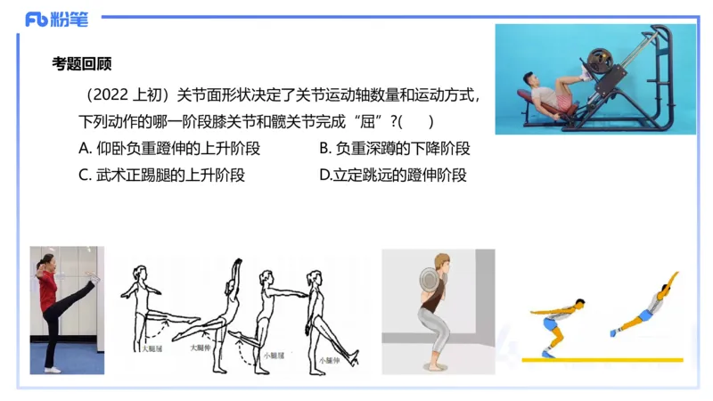 1.16-理论精讲-运动解剖学2-王传世+_4-教培资料-26年最新资料-同步更新_科一科二电子资料合集中小幼（笔记真题知识点汇总等）文件多，按需保存_各机构笔记合集（中小幼）推荐