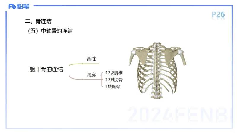1.16-理论精讲-运动解剖学2-王传世+_4-教培资料-26年最新资料-同步更新_科一科二电子资料合集中小幼（笔记真题知识点汇总等）文件多，按需保存_各机构笔记合集（中小幼）推荐