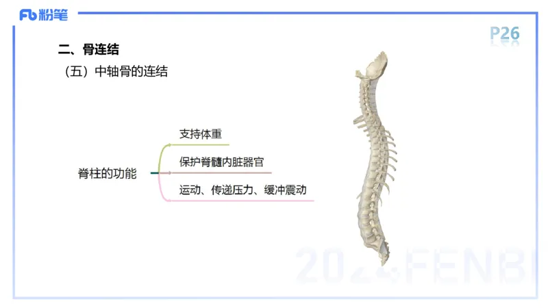 1.16-理论精讲-运动解剖学2-王传世+_4-教培资料-26年最新资料-同步更新_科一科二电子资料合集中小幼（笔记真题知识点汇总等）文件多，按需保存_各机构笔记合集（中小幼）推荐