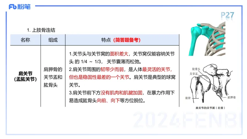 1.16-理论精讲-运动解剖学2-王传世+_4-教培资料-26年最新资料-同步更新_科一科二电子资料合集中小幼（笔记真题知识点汇总等）文件多，按需保存_各机构笔记合集（中小幼）推荐