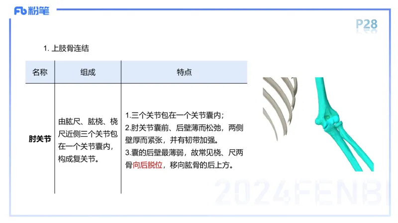 1.16-理论精讲-运动解剖学2-王传世+_4-教培资料-26年最新资料-同步更新_科一科二电子资料合集中小幼（笔记真题知识点汇总等）文件多，按需保存_各机构笔记合集（中小幼）推荐
