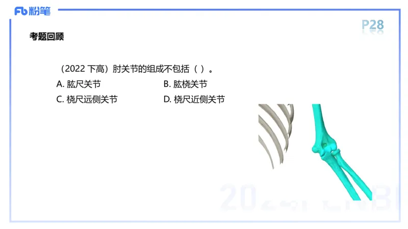 1.16-理论精讲-运动解剖学2-王传世+_4-教培资料-26年最新资料-同步更新_科一科二电子资料合集中小幼（笔记真题知识点汇总等）文件多，按需保存_各机构笔记合集（中小幼）推荐