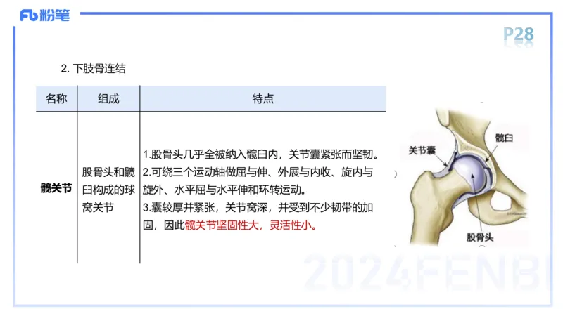 1.16-理论精讲-运动解剖学2-王传世+_4-教培资料-26年最新资料-同步更新_科一科二电子资料合集中小幼（笔记真题知识点汇总等）文件多，按需保存_各机构笔记合集（中小幼）推荐