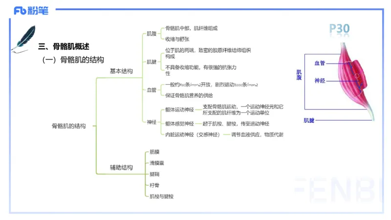 1.16-理论精讲-运动解剖学2-王传世+_4-教培资料-26年最新资料-同步更新_科一科二电子资料合集中小幼（笔记真题知识点汇总等）文件多，按需保存_各机构笔记合集（中小幼）推荐