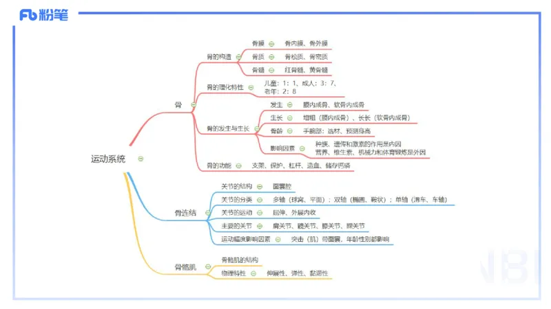 1.16-理论精讲-运动解剖学2-王传世+_4-教培资料-26年最新资料-同步更新_科一科二电子资料合集中小幼（笔记真题知识点汇总等）文件多，按需保存_各机构笔记合集（中小幼）推荐