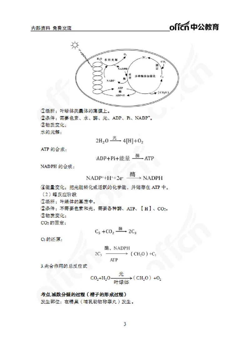 2024上半年教师资格笔试预测报-高中生物_4-教培资料-26年最新资料-同步更新_初中高中教资_03科三专项（进去保存报考的学科即可）_高中_高中生物-通关资科包_8.ZG考前预测报