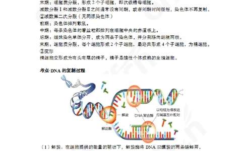 2024上半年教师资格笔试预测报-高中生物_4-教培资料-26年最新资料-同步更新_初中高中教资_03科三专项（进去保存报考的学科即可）_高中_高中生物-通关资科包_8.ZG考前预测报