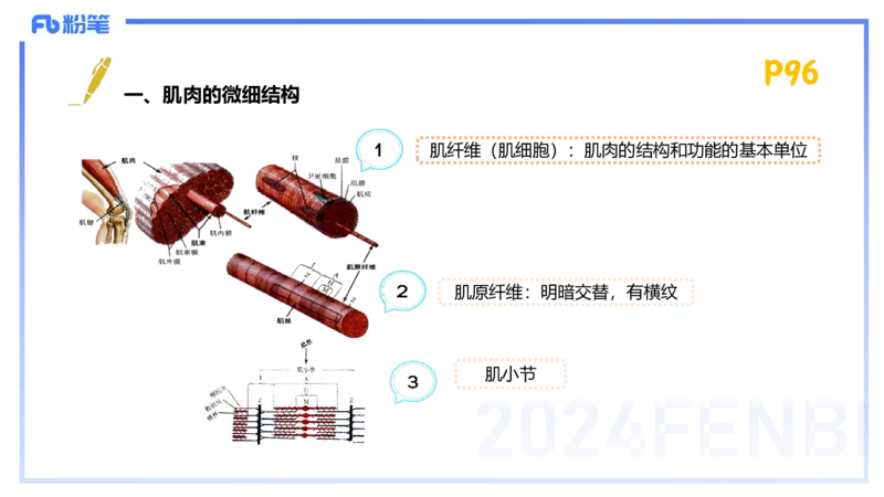 1.21-理论精讲-运动生理学1-王传世+_4-教培资料-26年最新资料-同步更新_科一科二电子资料合集中小幼（笔记真题知识点汇总等）文件多，按需保存_各机构笔记合集（中小幼）推荐