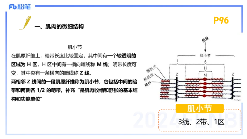 1.21-理论精讲-运动生理学1-王传世+_4-教培资料-26年最新资料-同步更新_科一科二电子资料合集中小幼（笔记真题知识点汇总等）文件多，按需保存_各机构笔记合集（中小幼）推荐
