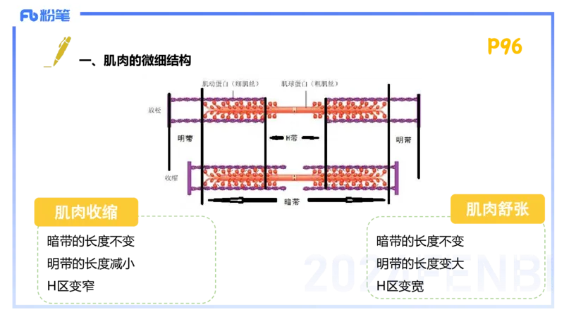 1.21-理论精讲-运动生理学1-王传世+_4-教培资料-26年最新资料-同步更新_科一科二电子资料合集中小幼（笔记真题知识点汇总等）文件多，按需保存_各机构笔记合集（中小幼）推荐