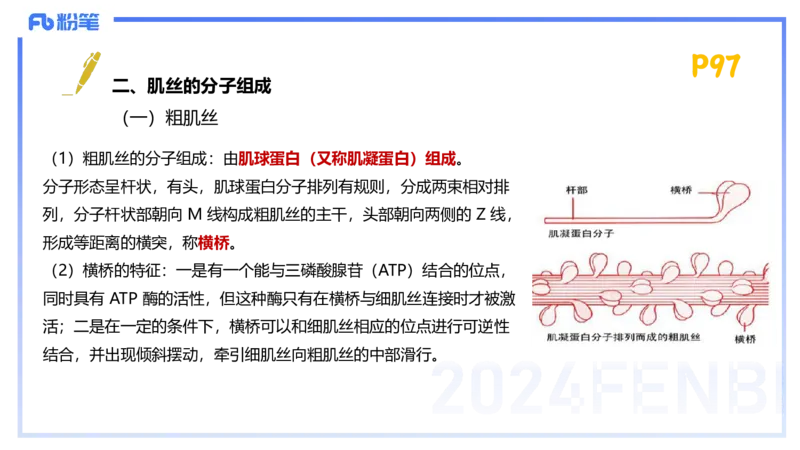 1.21-理论精讲-运动生理学1-王传世+_4-教培资料-26年最新资料-同步更新_科一科二电子资料合集中小幼（笔记真题知识点汇总等）文件多，按需保存_各机构笔记合集（中小幼）推荐