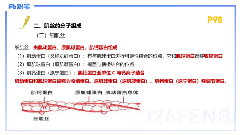 1.21-理论精讲-运动生理学1-王传世+_4-教培资料-26年最新资料-同步更新_科一科二电子资料合集中小幼（笔记真题知识点汇总等）文件多，按需保存_各机构笔记合集（中小幼）推荐