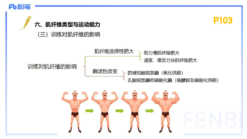 1.21-理论精讲-运动生理学1-王传世+_4-教培资料-26年最新资料-同步更新_科一科二电子资料合集中小幼（笔记真题知识点汇总等）文件多，按需保存_各机构笔记合集（中小幼）推荐