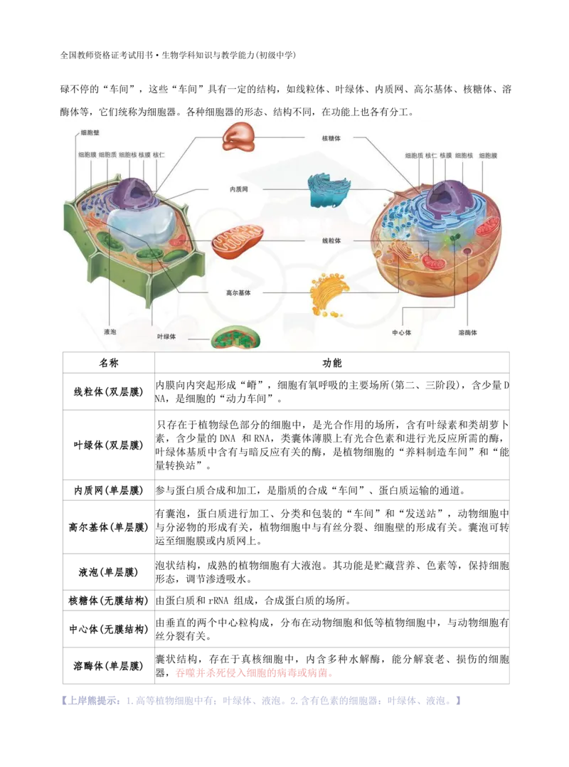 初中生物-学霸笔记113页_教资_初高中2026教资_26上资料（持续更新）_初中科三_初中科目三资料合集①_初中生物