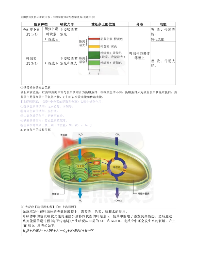 初中生物-学霸笔记113页_教资_初高中2026教资_26上资料（持续更新）_初中科三_初中科目三资料合集①_初中生物