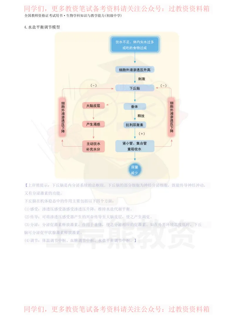 初中生物-学霸笔记113页_教资_初高中2026教资_26上资料（持续更新）_初中科三_初中科目三资料合集①_初中生物