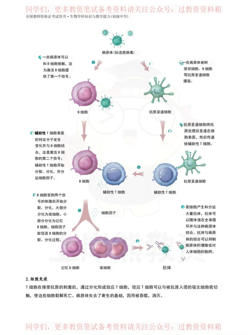 初中生物-学霸笔记113页_教资_初高中2026教资_26上资料（持续更新）_初中科三_初中科目三资料合集①_初中生物