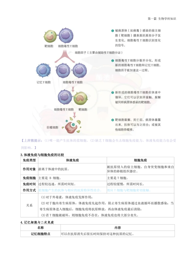 初中生物-学霸笔记113页_教资_初高中2026教资_26上资料（持续更新）_初中科三_初中科目三资料合集①_初中生物