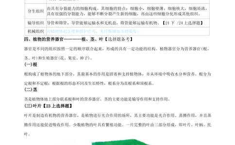 初中生物-学霸笔记113页_教资_初高中2026教资_26上资料（持续更新）_初中科三_初中科目三资料合集①_初中生物