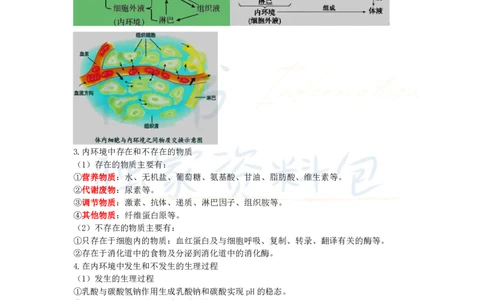高中生物王炸秘籍3(2)_教资_初高中2026教资_25下教师资格证_科三高中各科资料汇总_井书&middot;独家资料包高中各科资料汇总_井书&middot;独家资料包（高中）生物