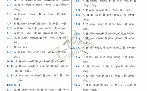 一飞冲天-中考专项精品试题分类-语文参考答案_《一飞冲天-中考专项》2026版_一飞冲天-中考专项精品试题分类（2024版）