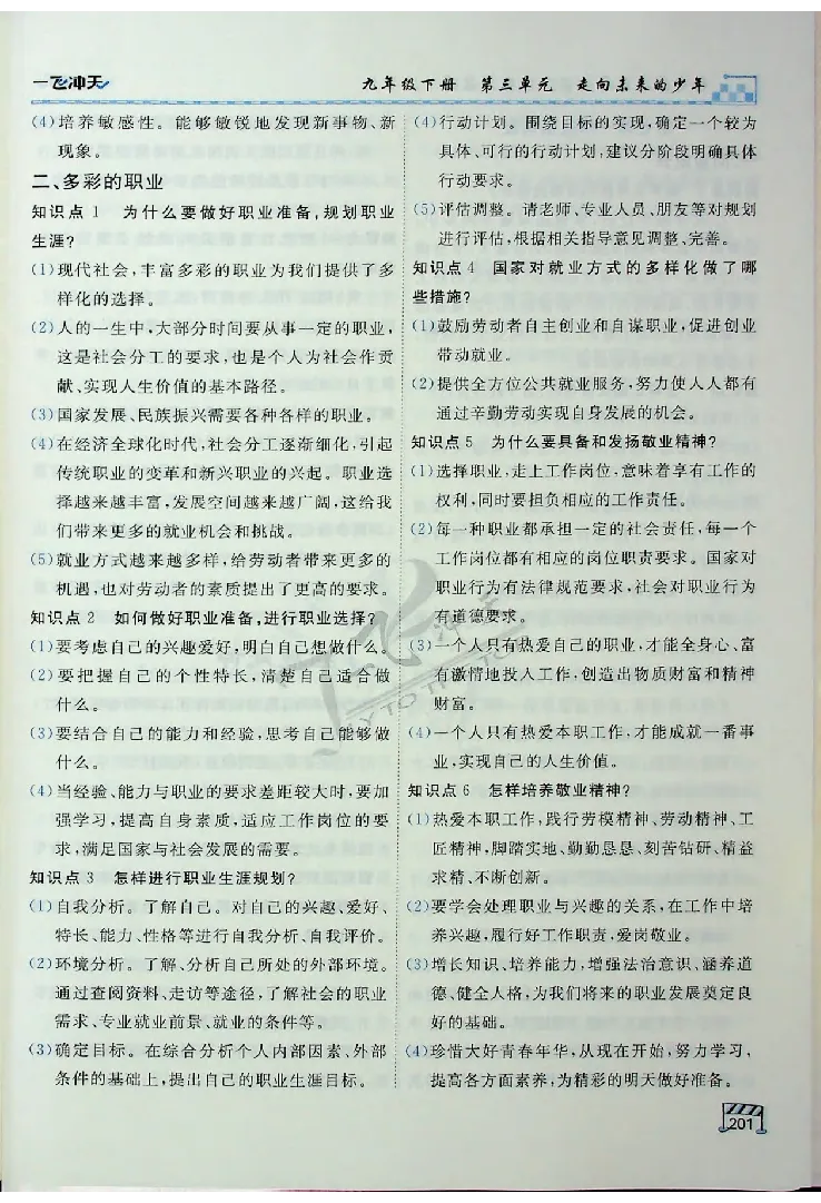 2025《一飞冲天-中考专项》道法_《一飞冲天-中考专项》2026版_一飞冲天-中考专项（2025版）