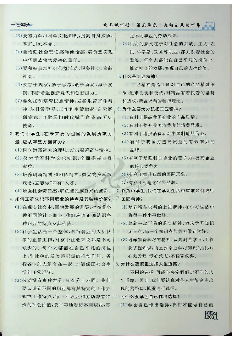 2025《一飞冲天-中考专项》道法_《一飞冲天-中考专项》2026版_一飞冲天-中考专项（2025版）
