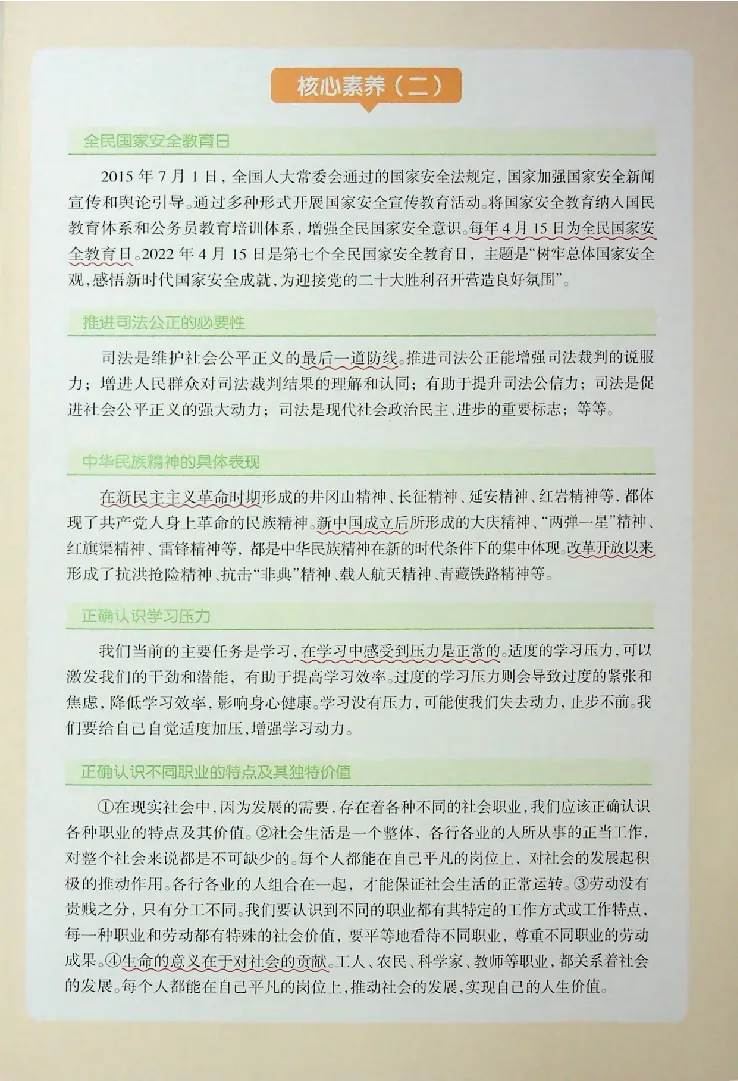2025《一飞冲天-中考专项》道法_《一飞冲天-中考专项》2026版_一飞冲天-中考专项（2025版）