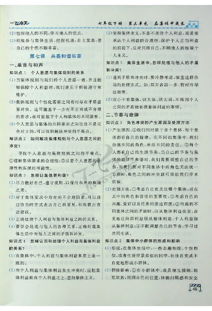 2025《一飞冲天-中考专项》道法_《一飞冲天-中考专项》2026版_一飞冲天-中考专项（2025版）