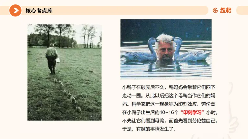 课件_教资_CG26上教资笔试中学_0226上中学-教育知识与能力（更新中）_01单选核心考点库+单选秒题500练_讲义